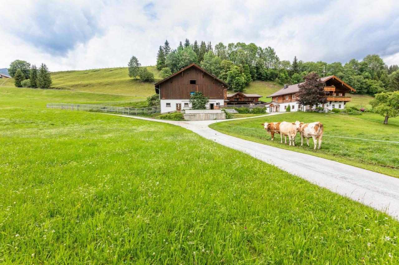 Ferienhaus Widholzhof Mittersill Exterior foto